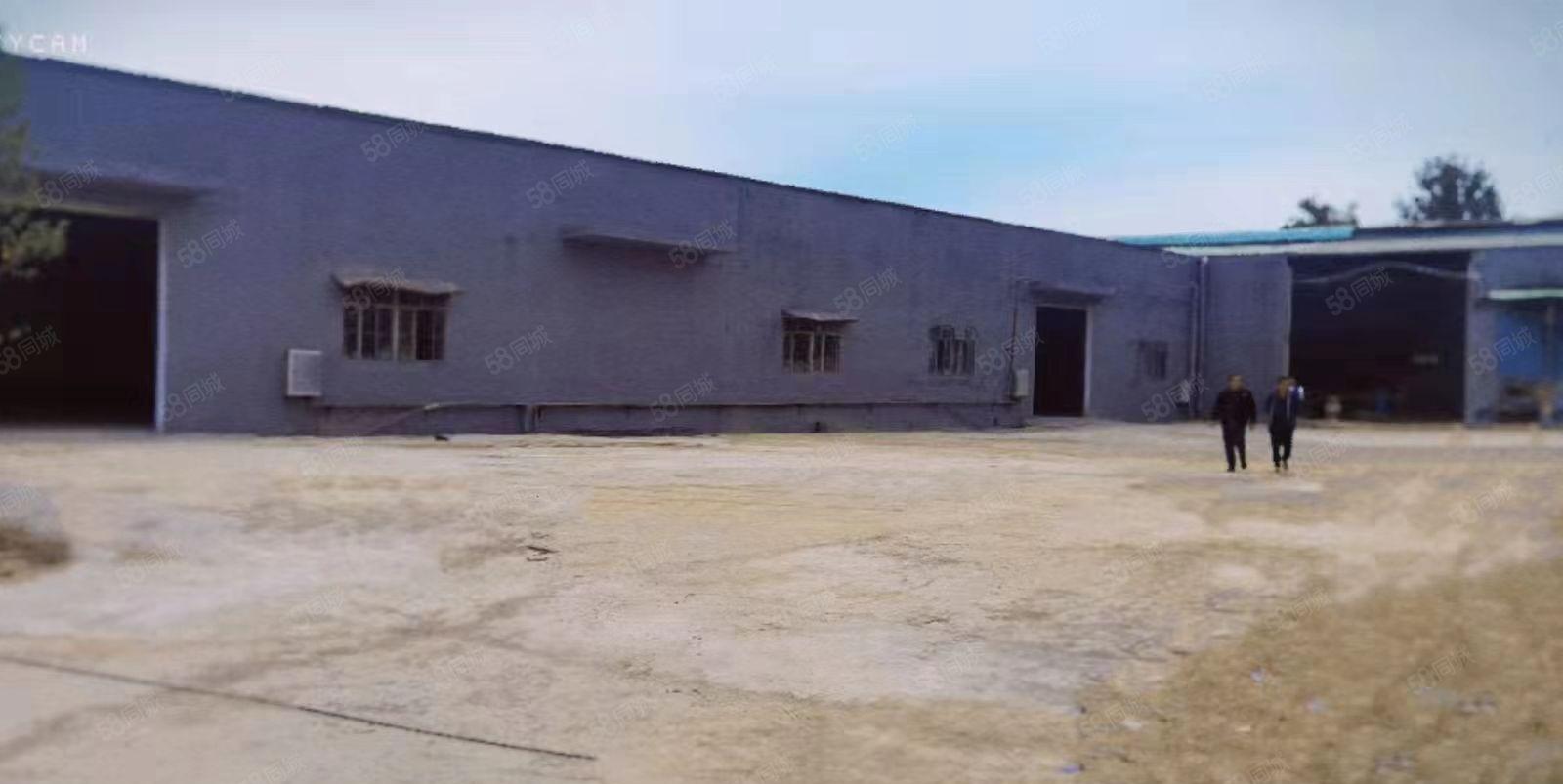 石湾镇原房东园区厂房出租1000方，面积实量可分租，环评无忧