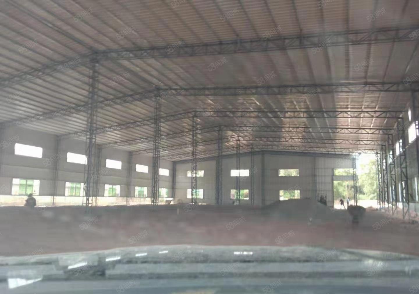 园洲镇单一层2000平独栋钢结构滴水8米证件齐可以进货柜车。