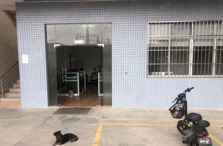 石湾镇13.8元工业区原房东钢构独院厂房出租证件齐全实际面积