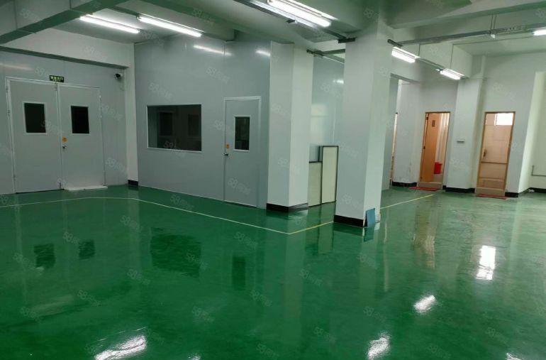 惠州石湾原房东厂房 600平整层带装修水电到位底价8元出租