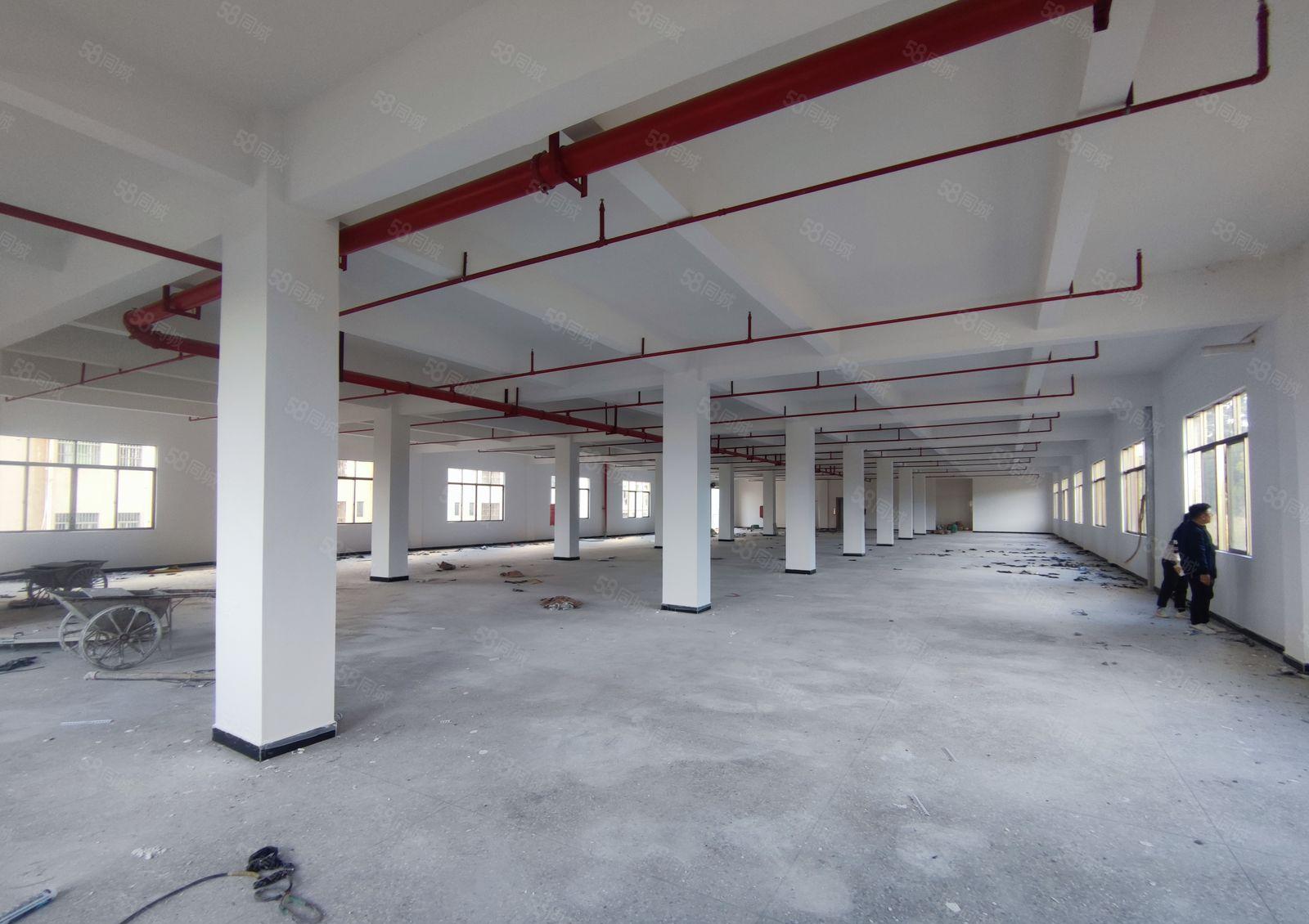 惠州博罗小金口原房东实际面积标准厂房出租高度5米以上