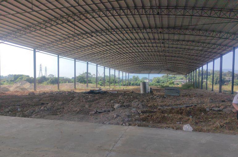 钢结构 中空 高11 无承重墙 周边无人