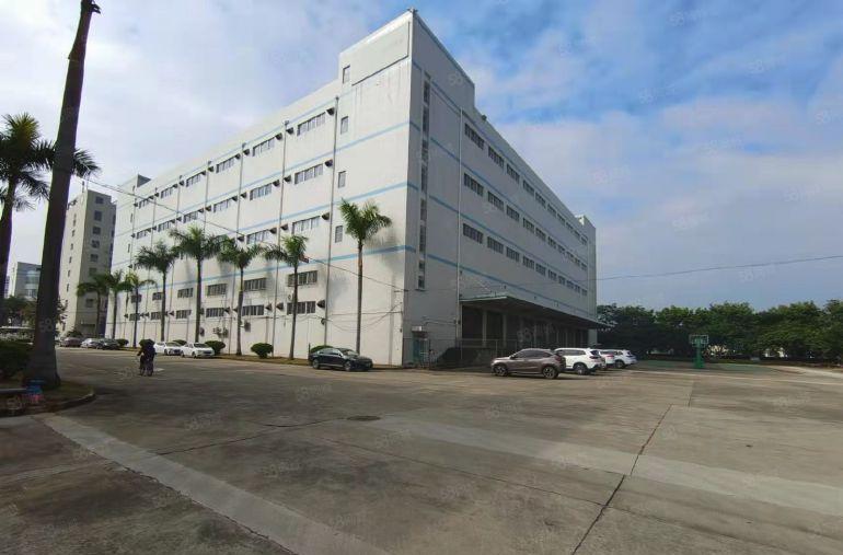 惠州石湾原房东厂房1000平带卸货平台靠高速可办环评实际面积