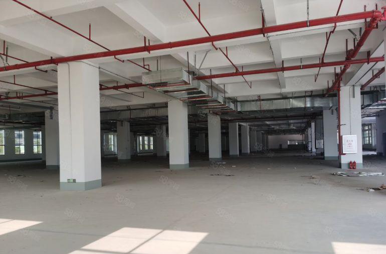 博罗园区红本厂房出租4.1万平方，大小面积可分租，包办环评。