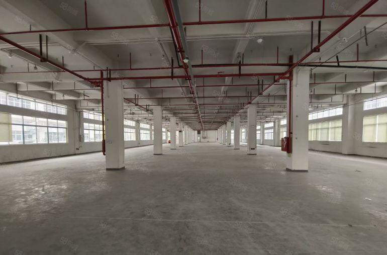 罗阳独门独院工业园区标准厂房出租可分租