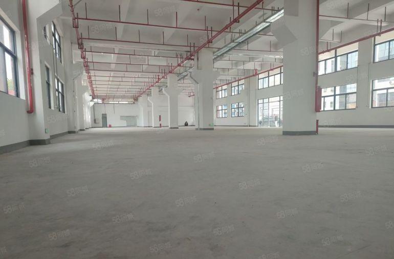 桥头龙溪11000平可分租工业厂房低价出租绿化好 交通便利