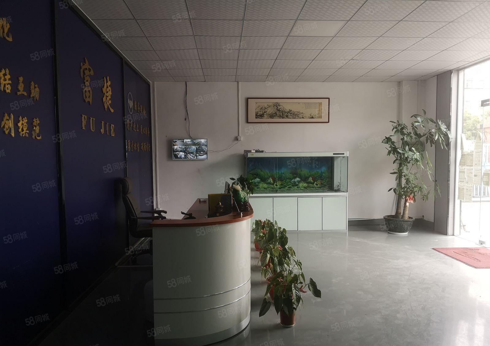 石湾镇成熟园区 新出原房东一楼1000平厂房出租 带豪华装修