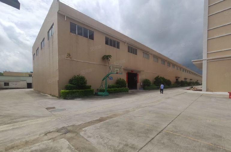 园洲镇原房东工业园区砖墙到顶滴水12米带5吨行车6000平