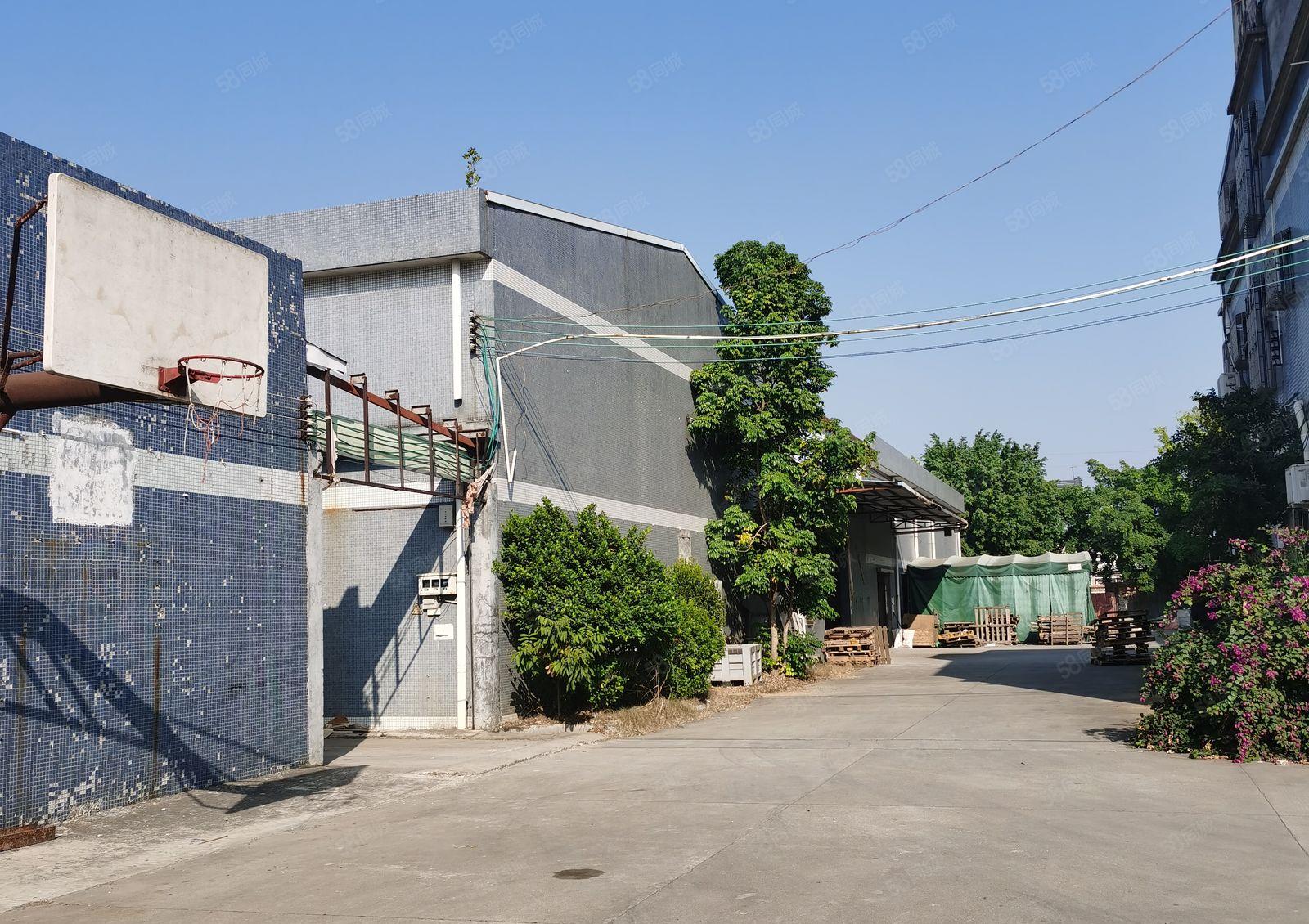 带独立办公楼厂房出租。