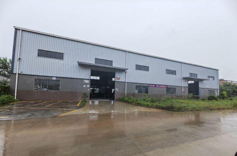 园洲本地老大哥自建单一层880平，滴水8米空地大 价格不贵