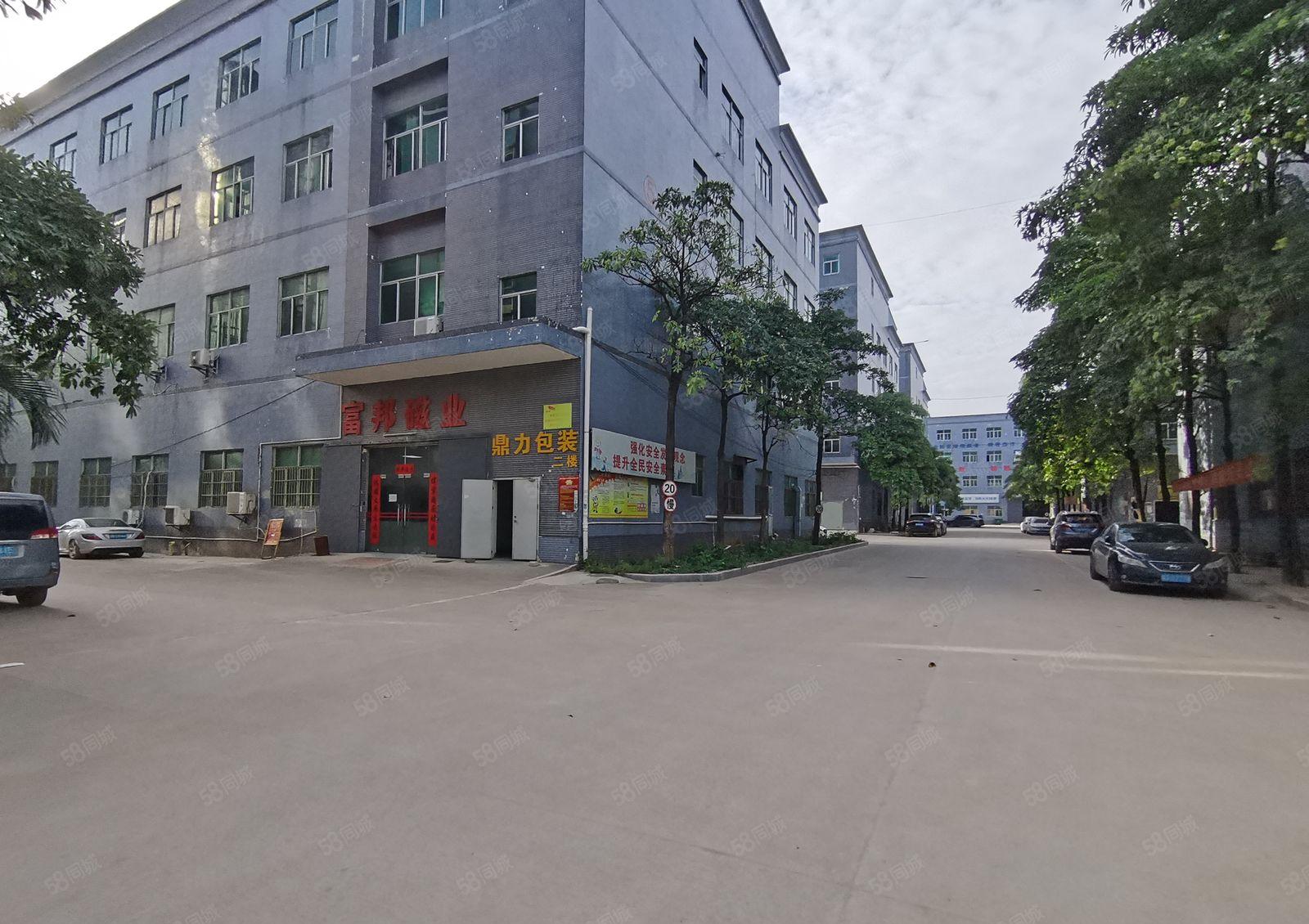 博罗龙溪原房东独院厂房仓库出租，1000平方起租，可办环评