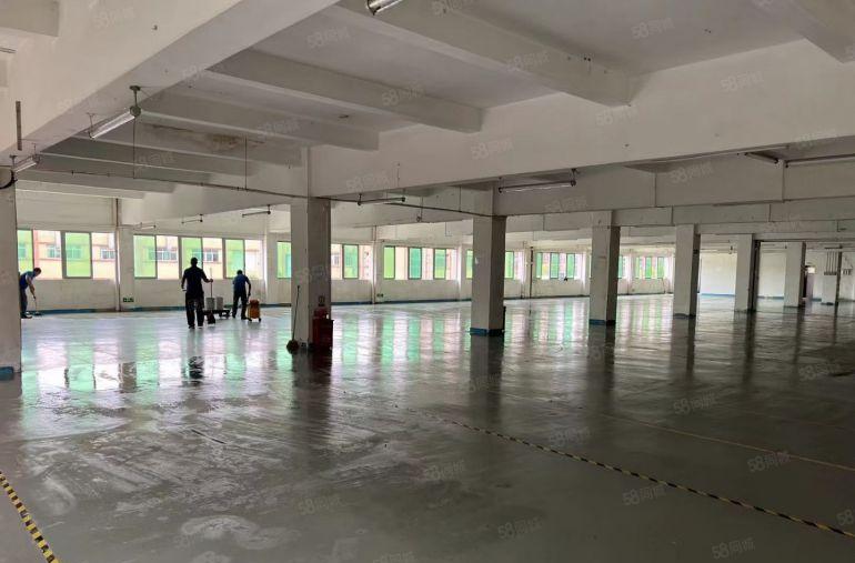 博罗龙溪花园式厂房出租一楼带行车楼上现成装修。详情来电咨询