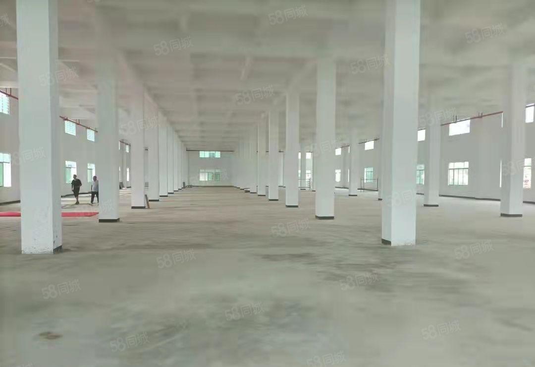 重工业厂房 独院标准 红本厂房 可分租标准厂房 喷油环评