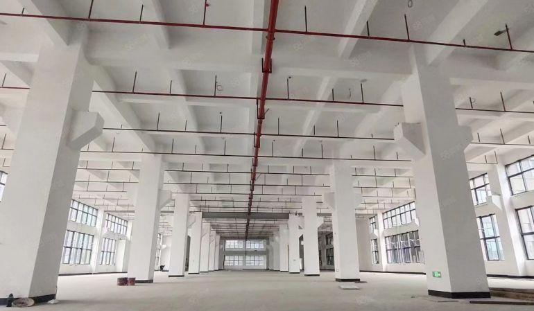 石湾厂房出租（50000平方米全新环保工业园分租）