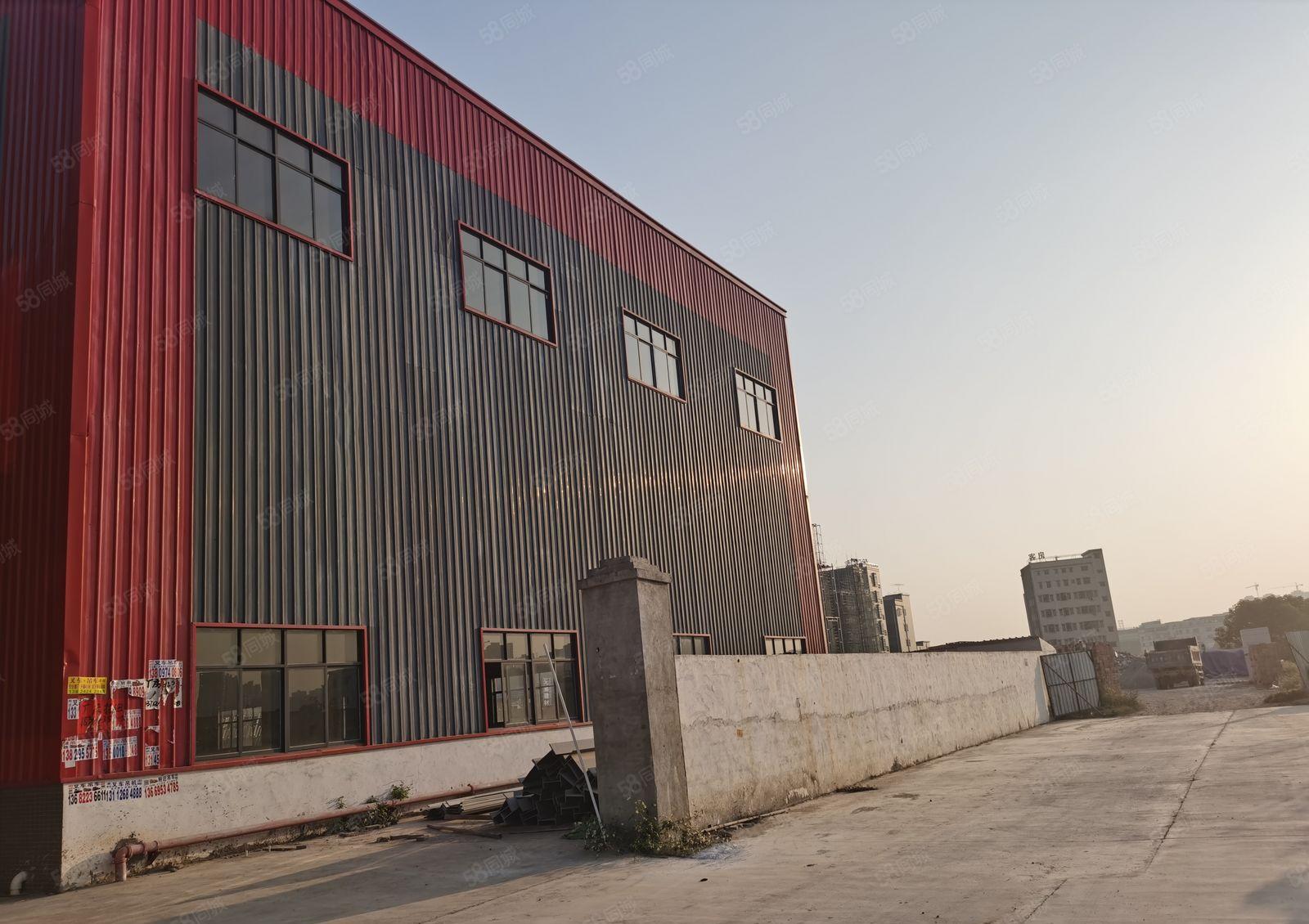 独院单一层13米滴水钢构厂房出租