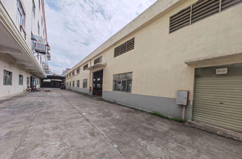 园洲镇新空出标准加单一层9000平方，价格便宜