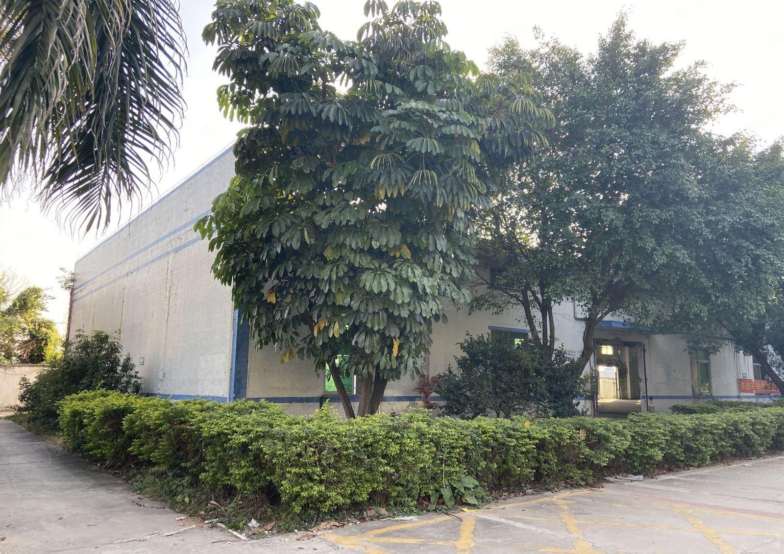 石湾镇工业区新出独院砖墙到顶钢构厂房滴水7米4150可以分租