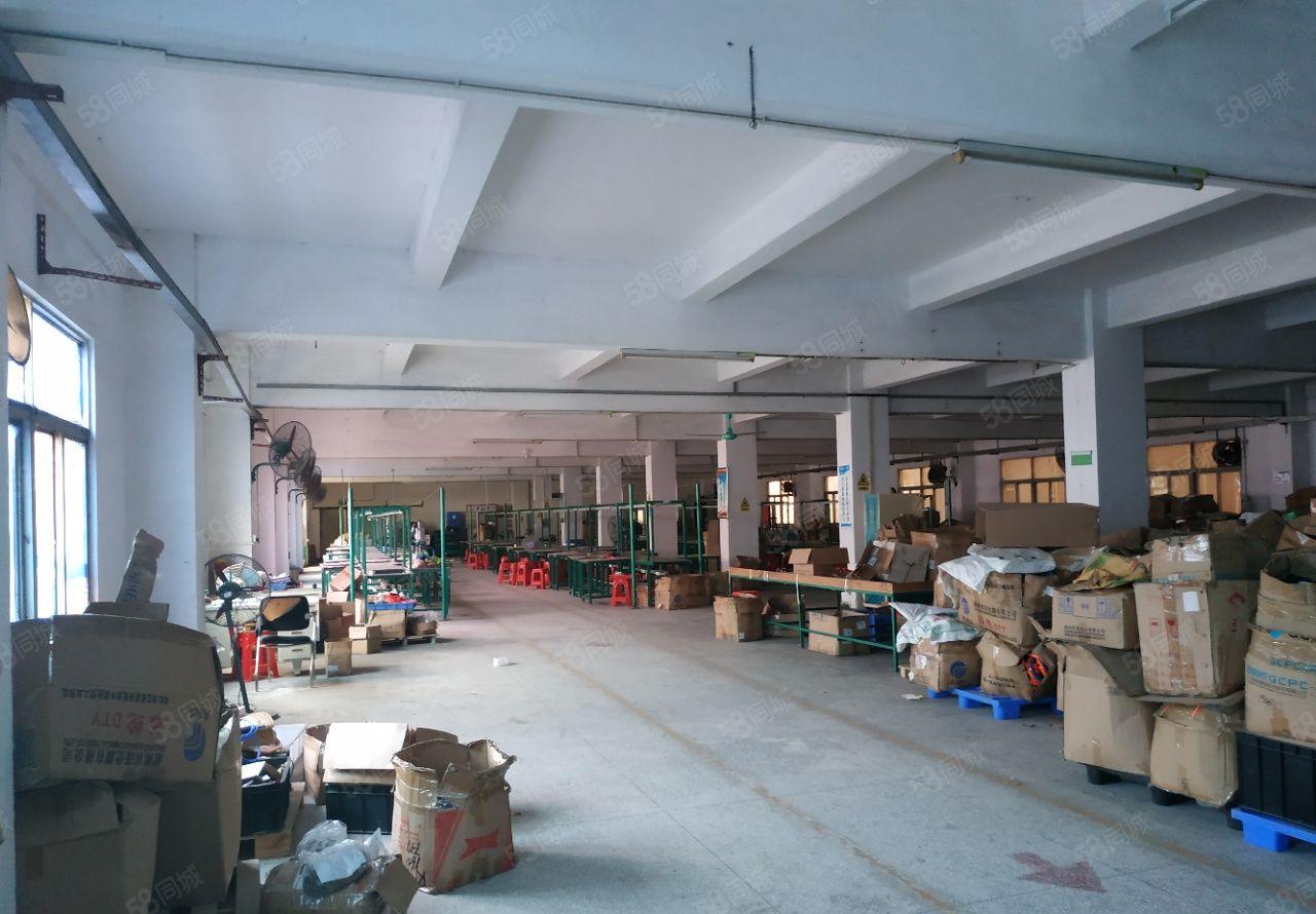 石湾成熟工业区厂房出租 可办环评 宿舍饭堂等配套齐