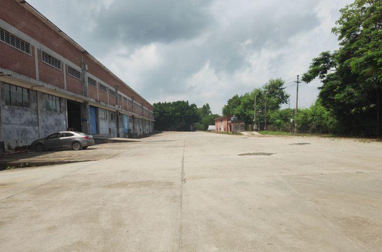 长宁工业区24000平一格2400滴水11米带牛角