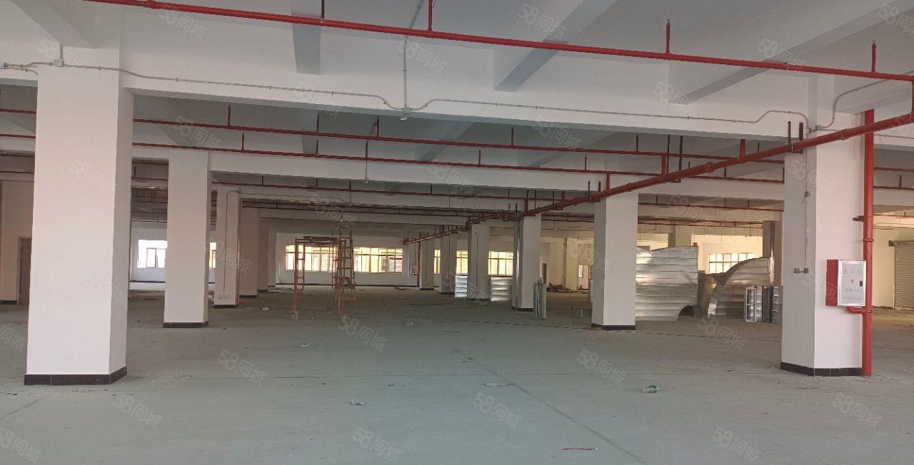 一手房东自建厂房出租，红本独院标准20000方可分租，配套全