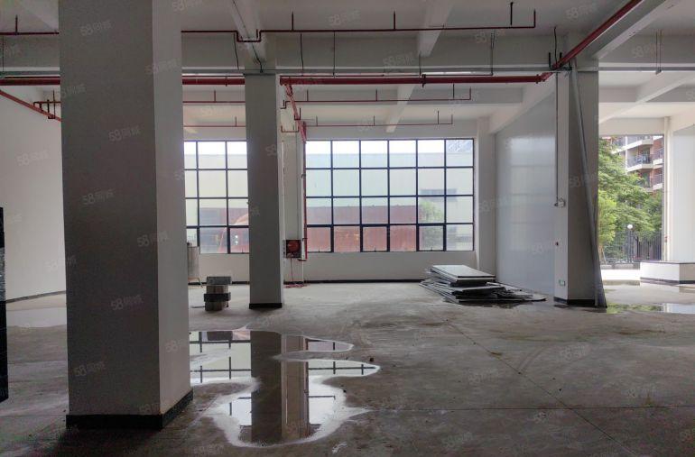 龙溪电镀基地边一楼标准厂房 高层高 周边无居民 采光好