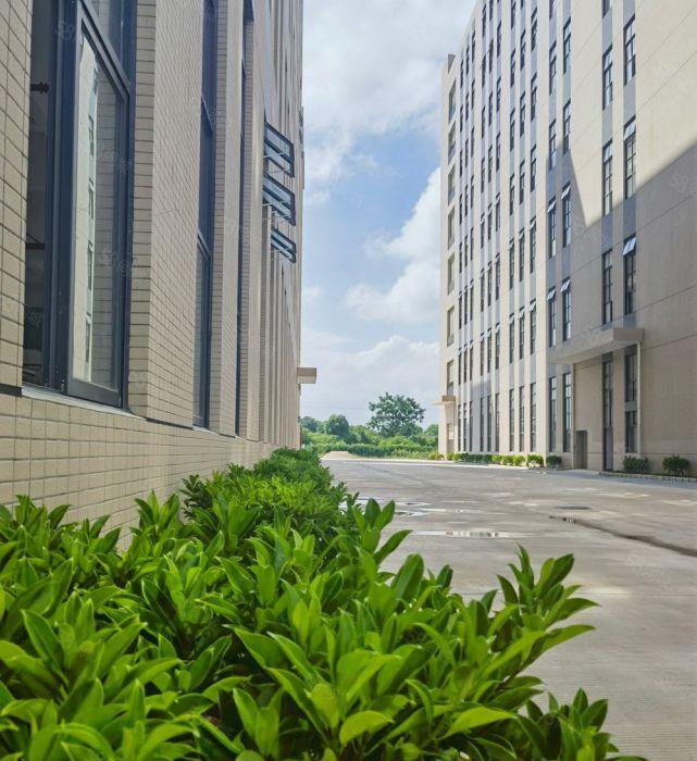 博罗园洲离高速路口一公里标准厂房出租原房东