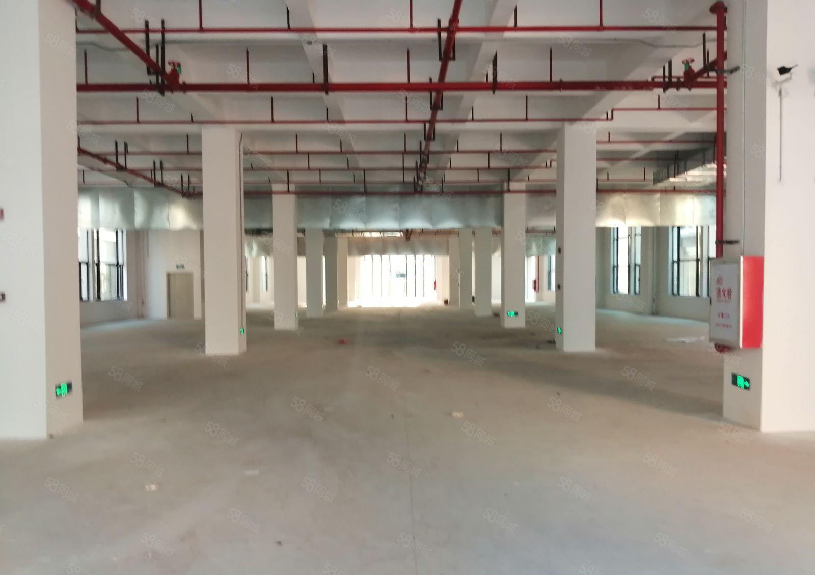 石湾科技园（红本）厂房火爆招租
