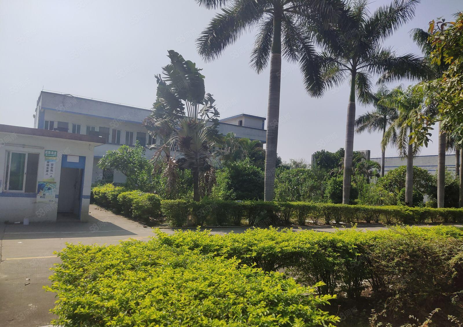 石湾镇花园式独院厂房出租4150平方，可分租，超大空地带装修