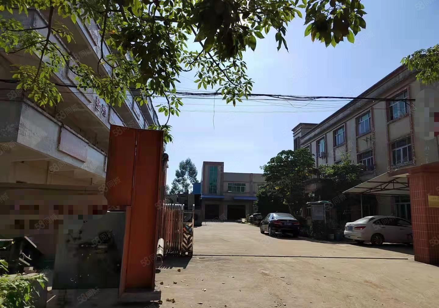 石湾花园式独院厂房出租1700方，可分租豪华装修，可办环评