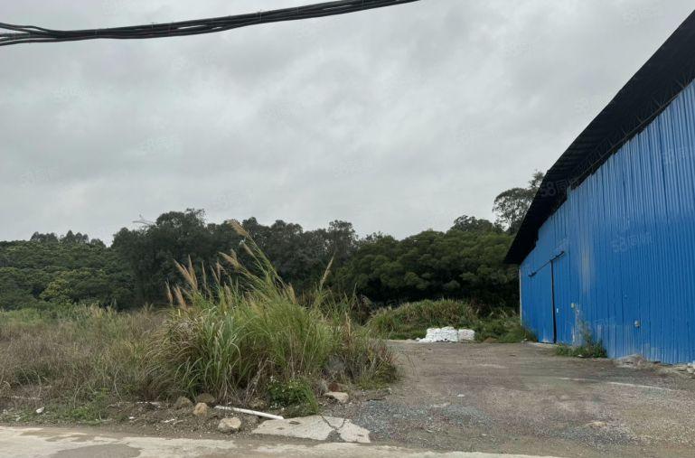 破碎抽粒喷油厂房出租500至3500平方10元一平