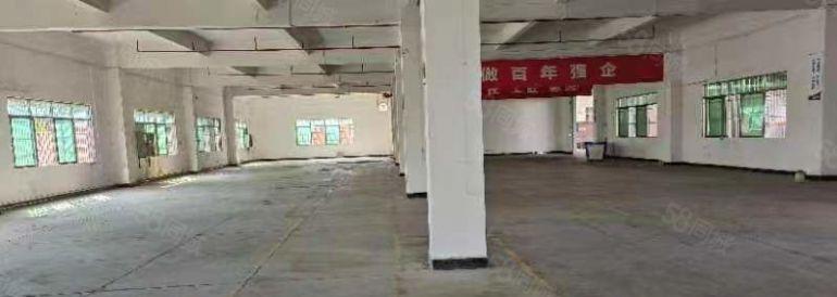 低价出租博罗罗阳原房东厂房