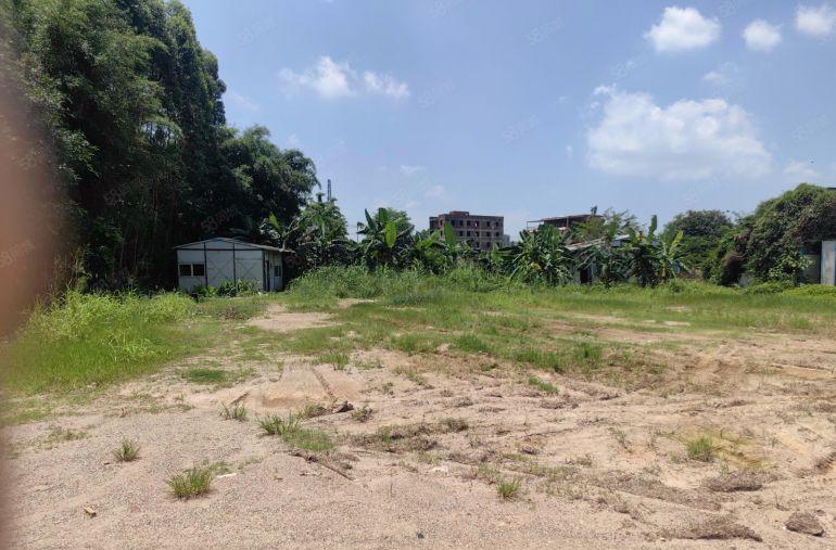 龙溪独门独院3000平厂房出租 空地五千平原房东