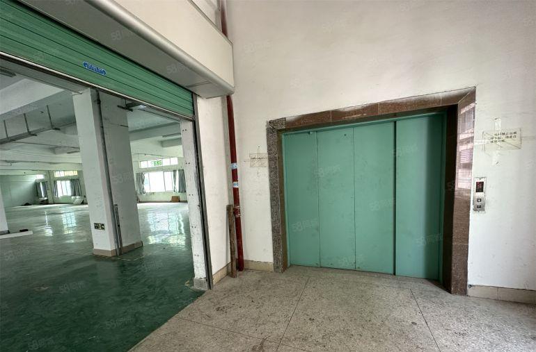 8元单层1000平带装修厂房低价出租博罗龙溪园洲石湾