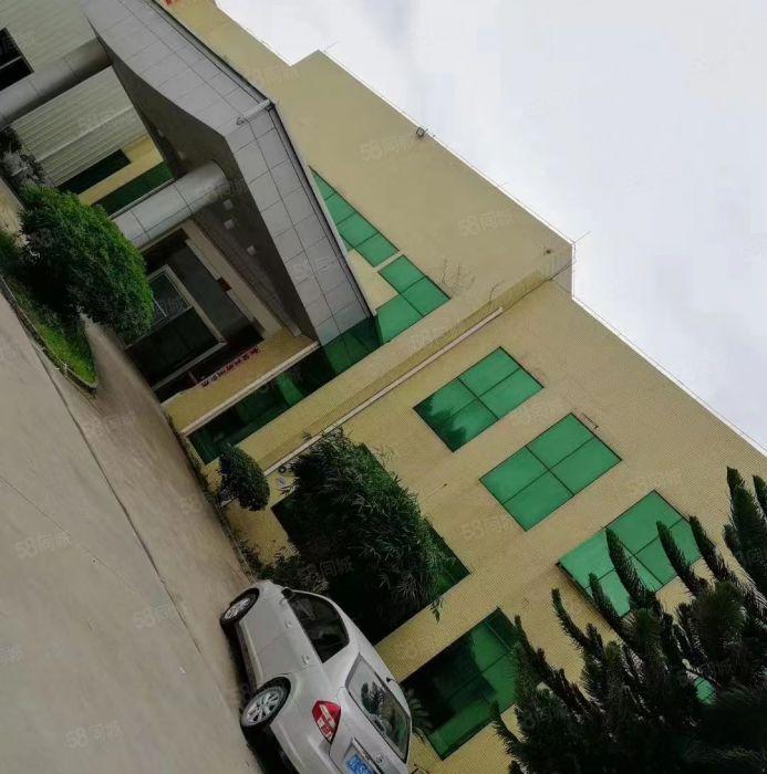 低价出租龙溪原房东单一层厂房