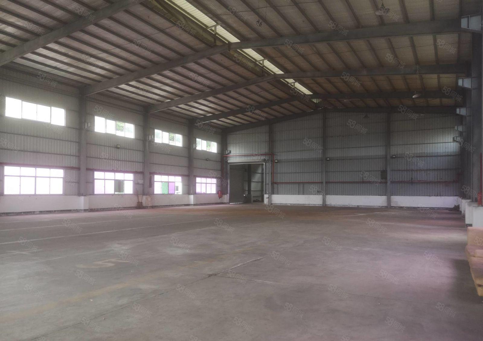 园洲高速出口附近独栋单一层钢构1500平出租滴水9米可办环评