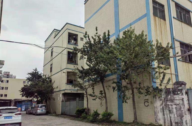 低价出租龙溪街道原房东标准独院