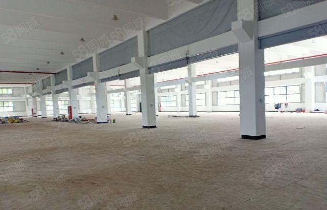 博罗园州4600平方标准厂房出租 可分租 形象好