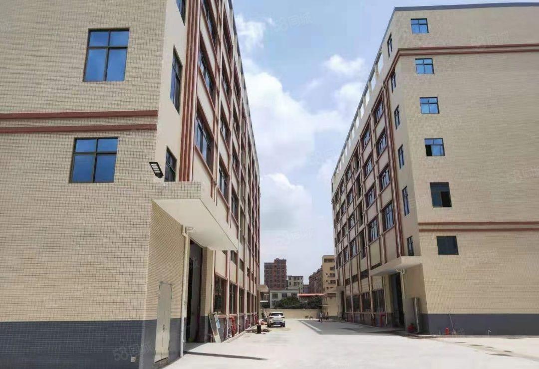 石湾镇独院原房东标准厂房9200平方，宿舍1200平方出租！