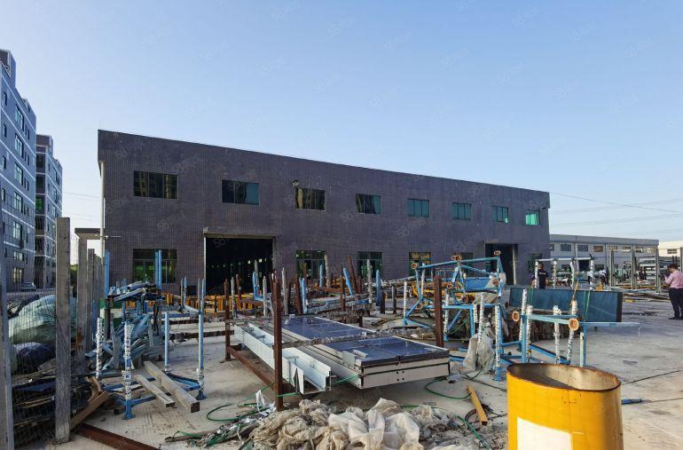 博罗石湾国道旁原房东独门独院钢结构滴水九米高3000平方出租