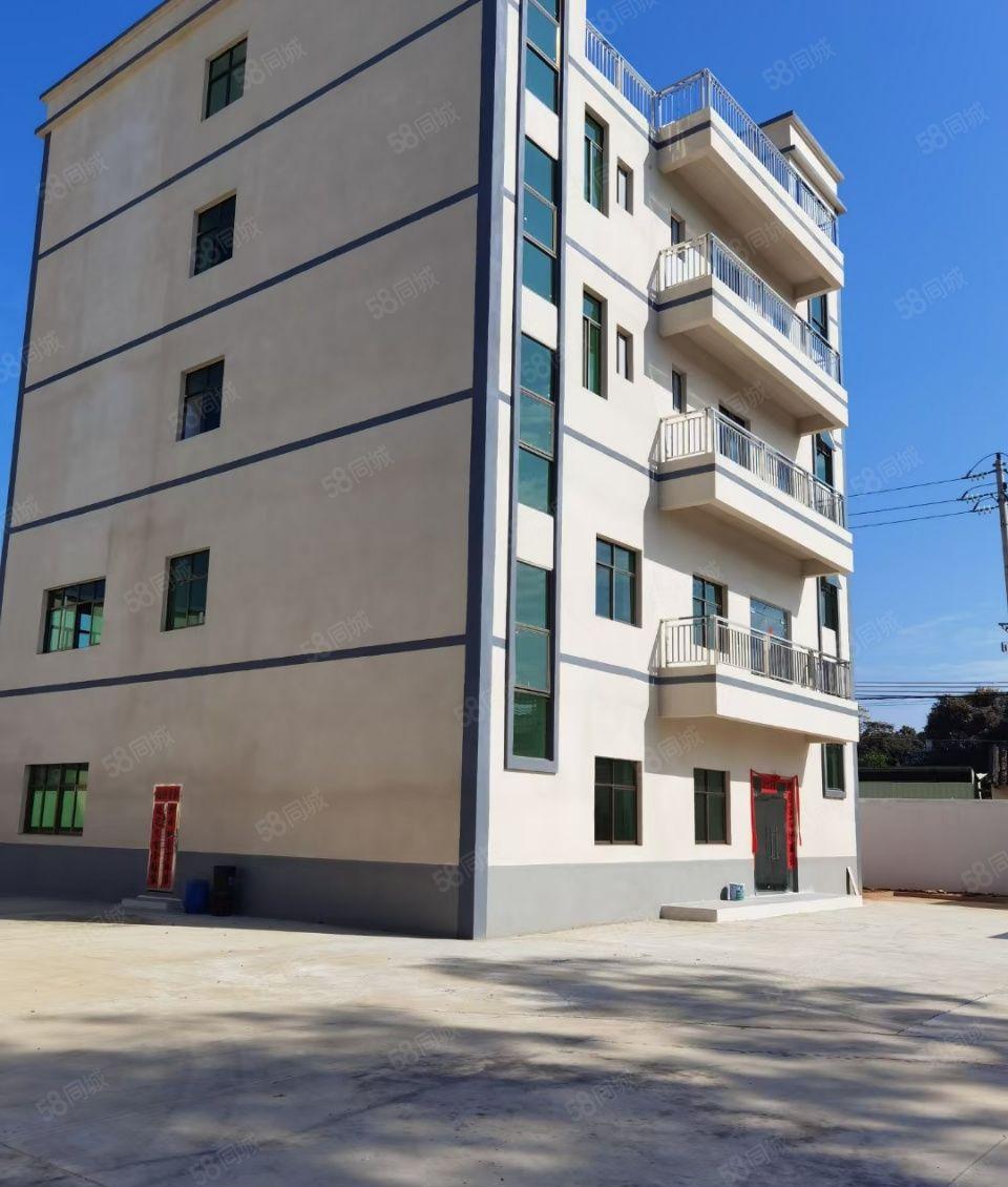 现成装修厂房 9米高钢构 消防 独立厂房 博罗厂房出租仓库