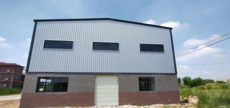 园洲独院钢构500平高度9米空地大低于市场价5块