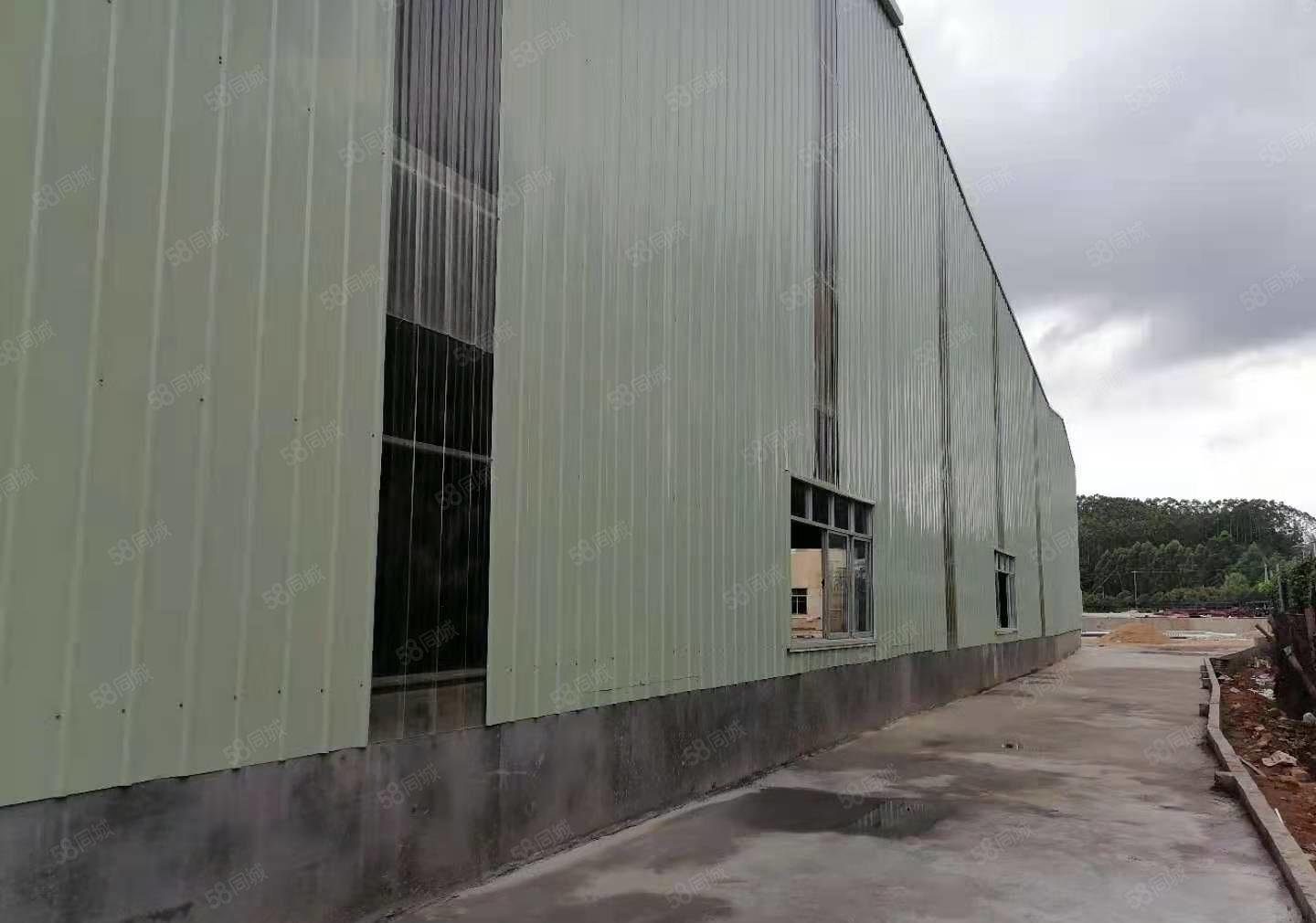 龙溪街道全新单一层1520平方招租，实际面积无公摊