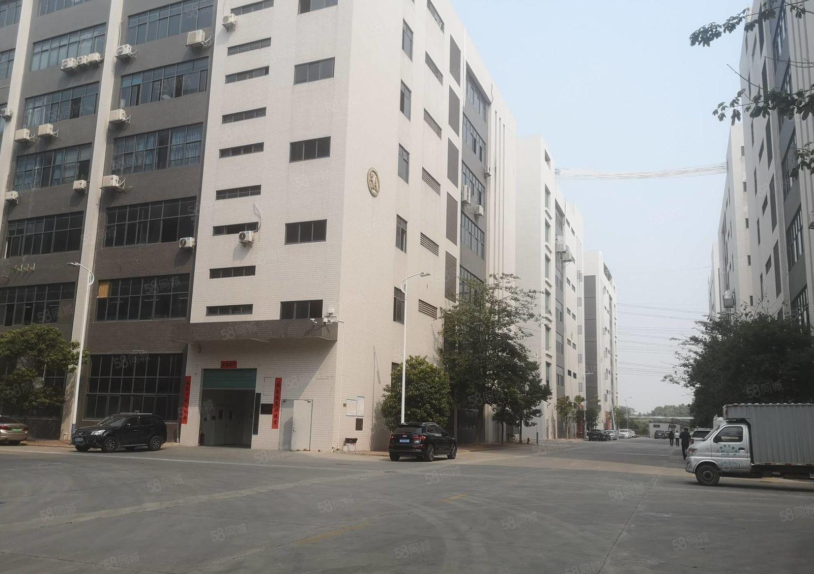 石湾镇 大型园区新出原房东楼上1000平厂房出租 带豪华装修