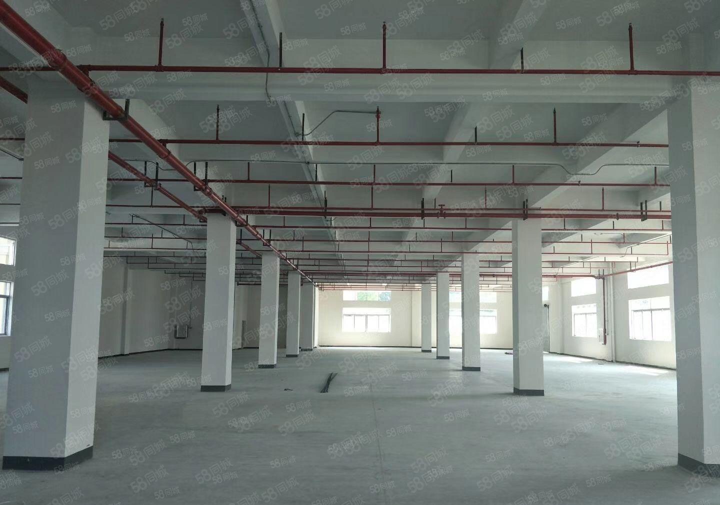 博罗石湾成熟工业区15块全新红本厂房