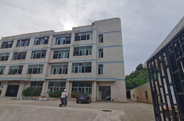 园洲禾山工业区附近带宿舍独院原房东红本厂房出租可分租空地大