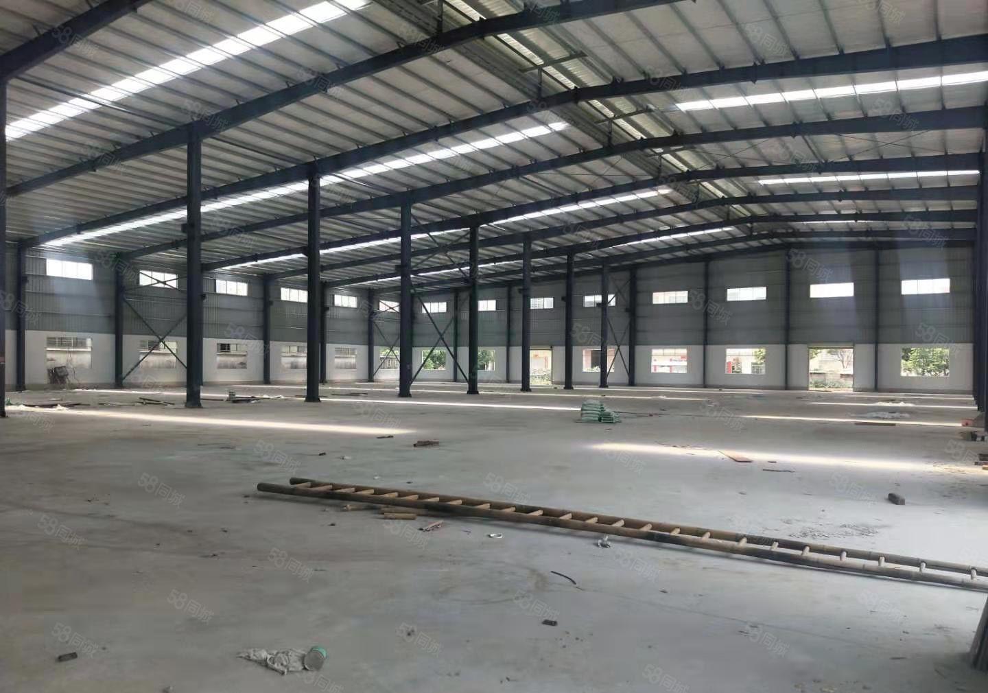 园洲镇独门独院厂房总面积12000方钢构，滴水9.5米