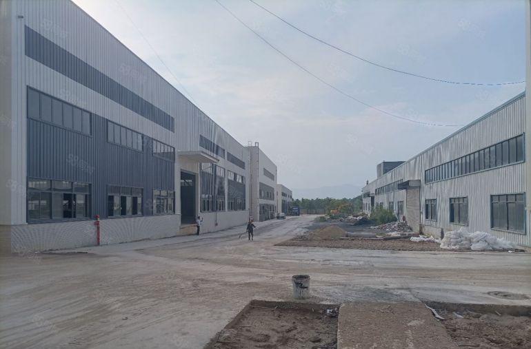 博罗急租新建10米钢构厂房（66000平方一大小可分租）