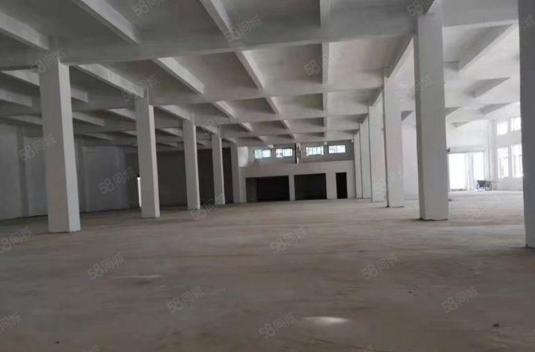 龙溪镇独门独院4610平方原房东出租