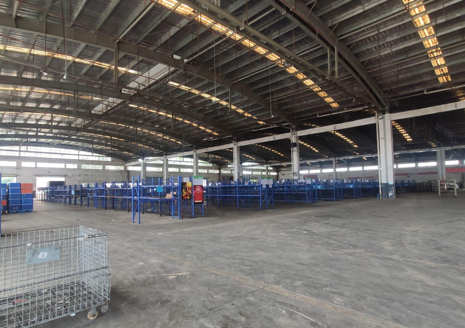 500平起租惠阳镇隆原房东4万平独院钢构厂房仓库出租可排水