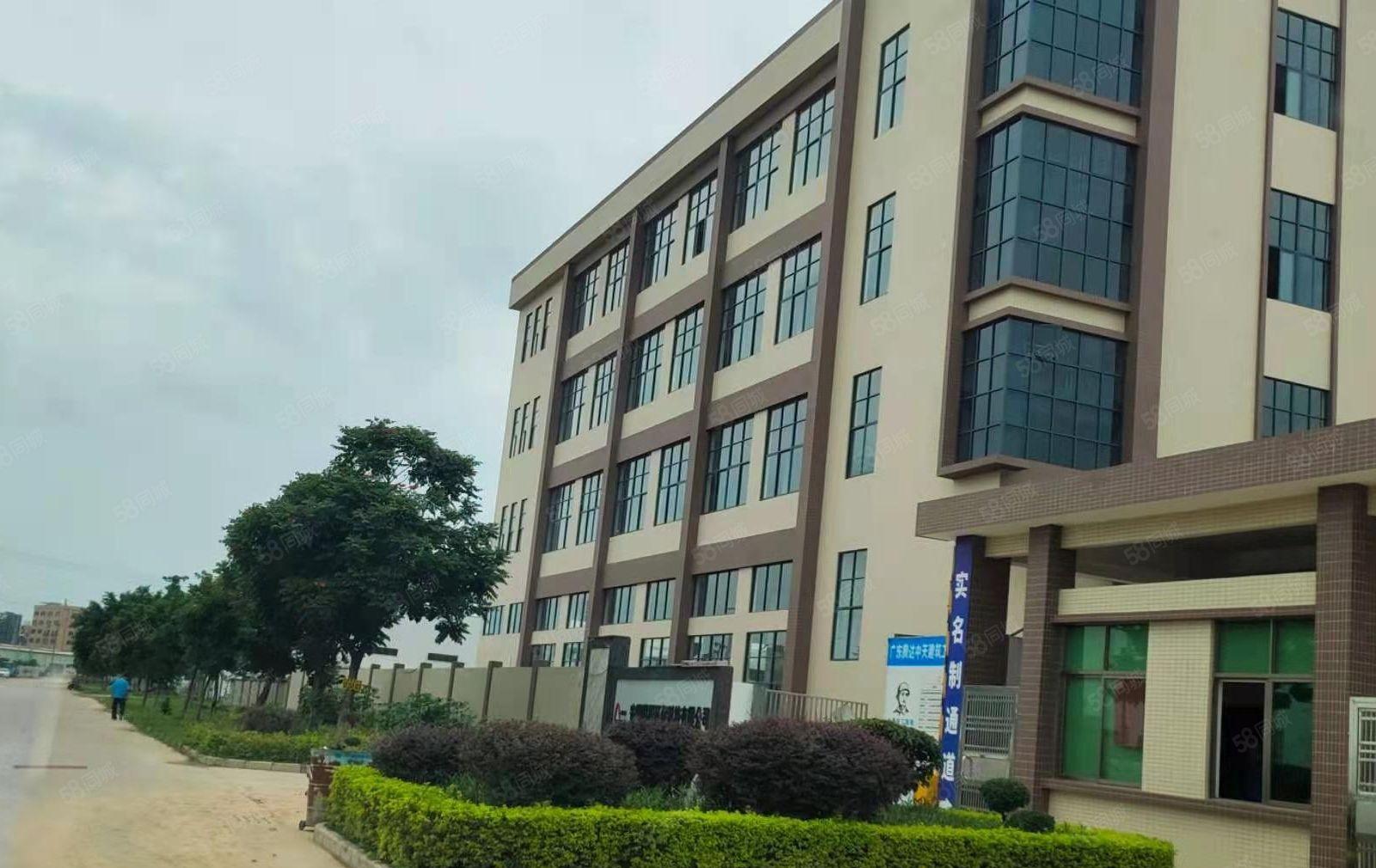 园洲镇新出原房东花园式独门独院标准楼房可做珍珠棉及小污染行业